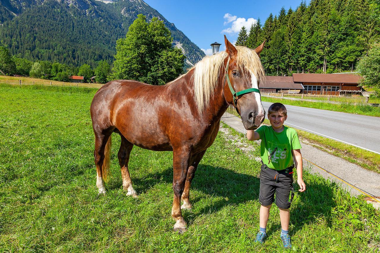 Groebl-alm Haus Zur Schoenen Aussicht